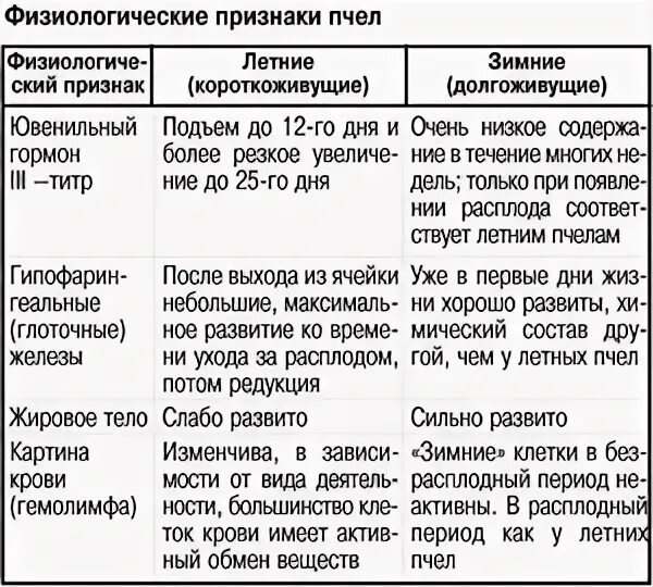 Характеристика особей пчелиной семьи таблица Пыльца, обножка, перга Сибирский мёд с предгорья Саян