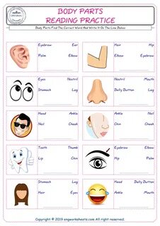 Parts of the body worksheets
