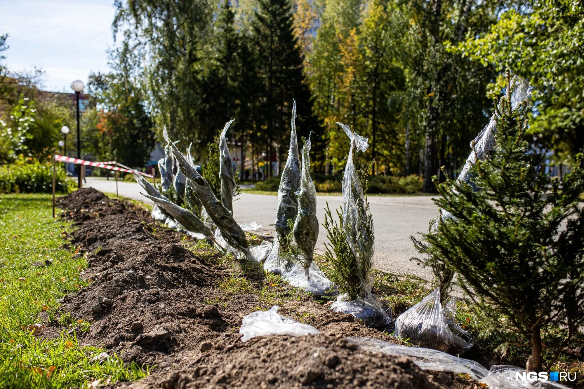 Парк 50 лет октября на Вернадского. МАУ городские парки Новосибирск. Парк 50 летия октября аллея Партизан.