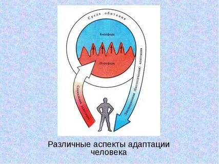 Способы адаптации организма