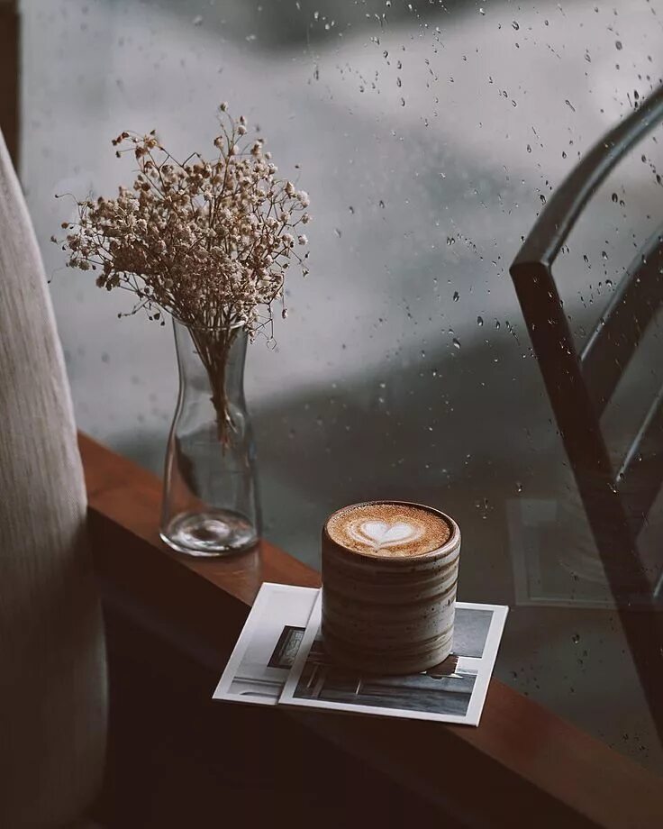 Fun Things to Do in Oregon Day Trip & Vacation Ideas 2023 Rain and coffee, Fun t