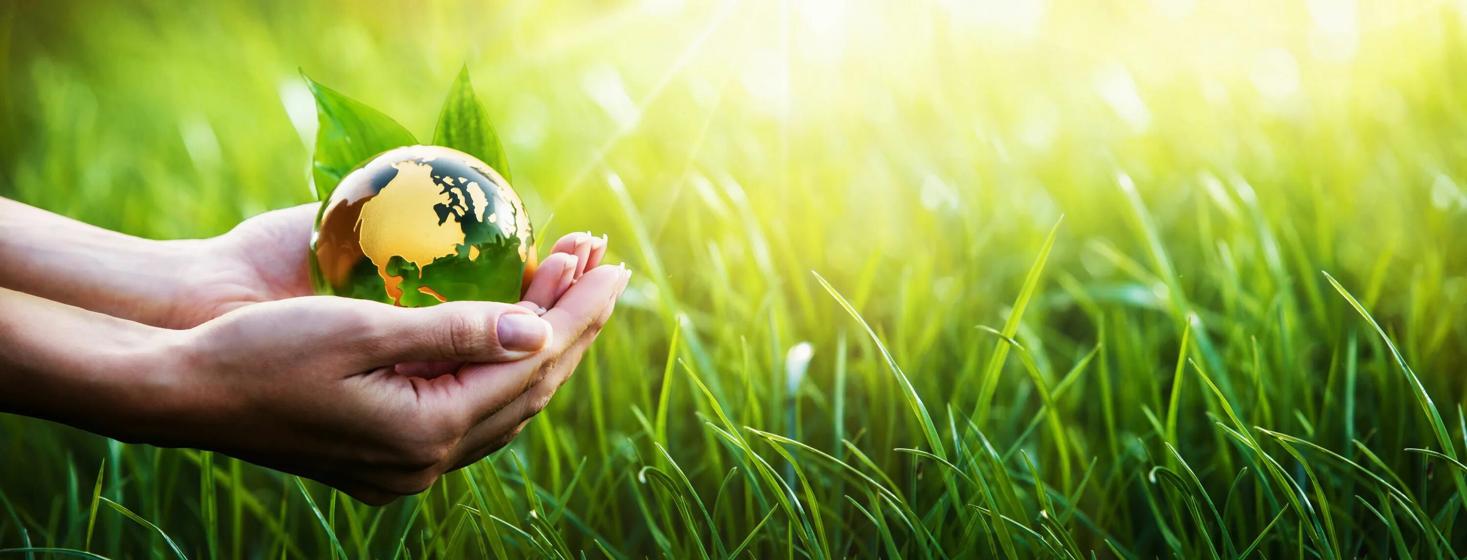 The environment is us. The environment is us