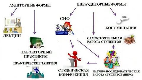 Учебный процесс самостоятельная работа