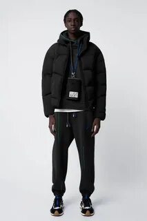 Zara коллаборация