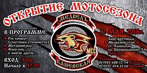 Афиша каневская