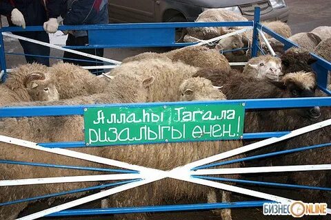 Барашки казан