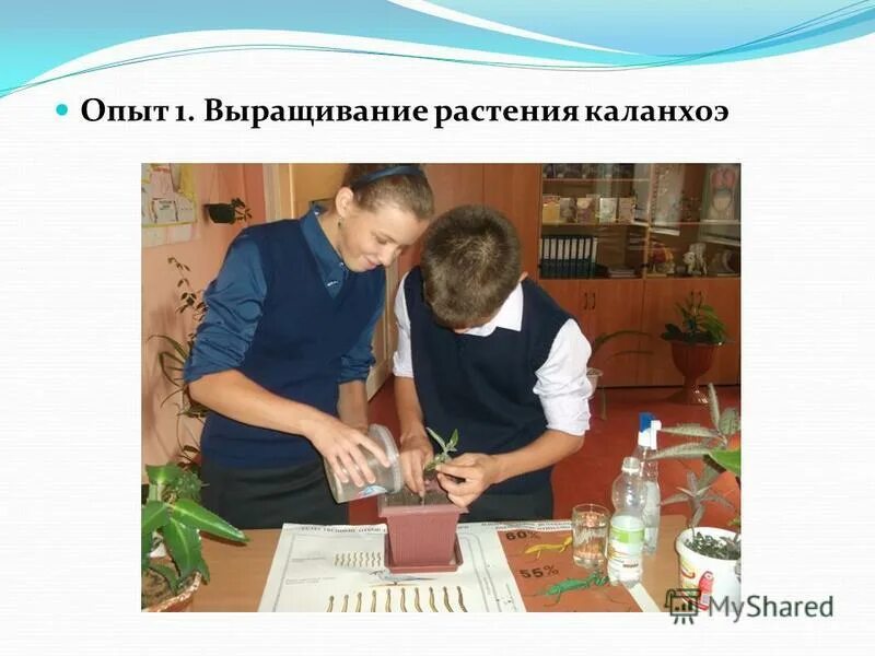 Опыт 9 класс. Проект по физике электричество. Опыт 9 класс. Укрепленная в тисках упругая металлическая линейка. Опыт 9 класс.