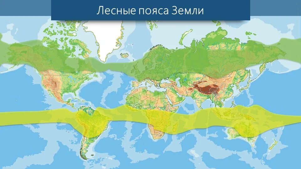 Границы Северного и Южного лесных поясов. Северный и Южный Лесной пояс на карте.