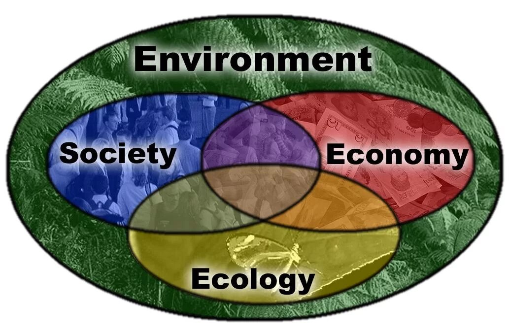 Economy and ecology. Экология и общество. Environmental economy. Устойчивое развитие.