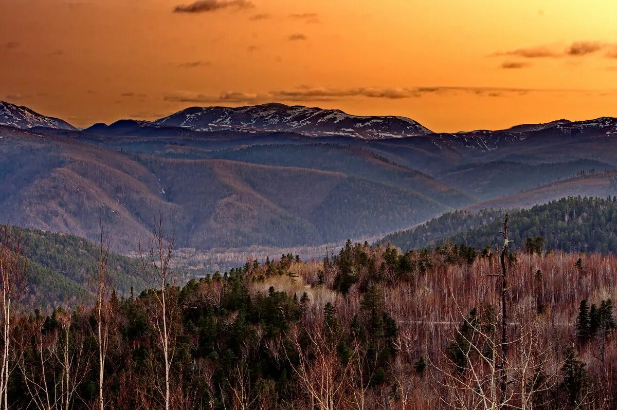 сихотэ-алинский хребет. сихотэ алинь. гора арсеньева сихотэ-алинь. нагорье сихотэ алинь. нагорье сихотэ алинь.