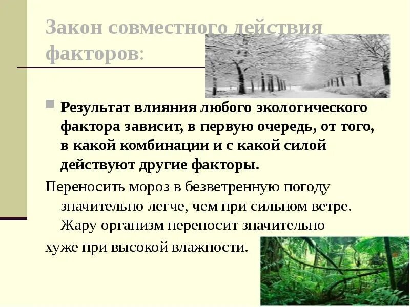 Касается в первую очередь