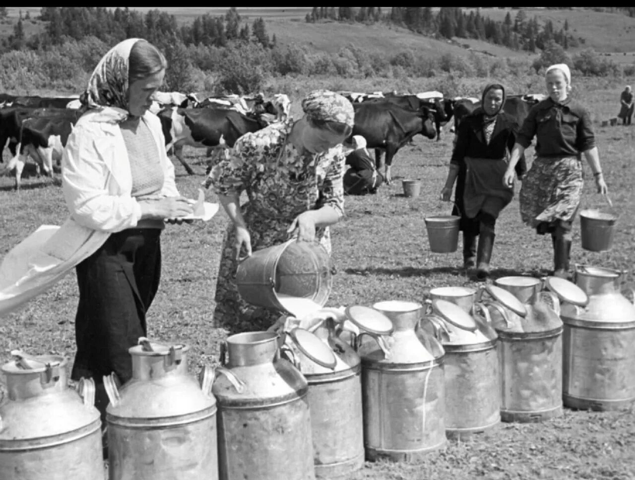 Питьевое хозяйство. Колхоз красный октябрь Кировская область. Сельское хозяйство СССР. Советская деревня. Колхоз СССР.