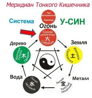 Го го система 5 элементов