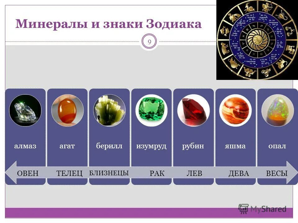 Телец какое дерево