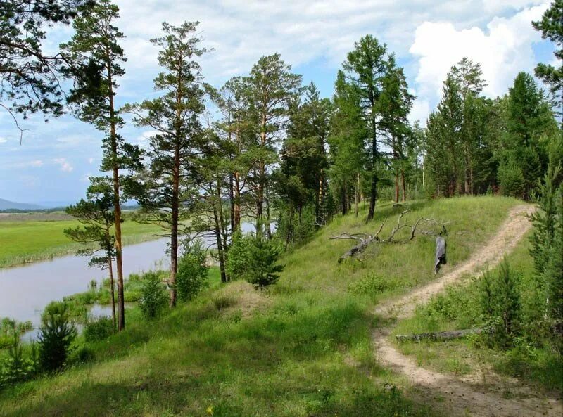 Стих бежит тропинка с бугорка м. Дорога к храму картина. М цветаева наши царства. Бежит тропинка с бугорка иллюстрация. Бежит тропинка с бугорка иллюстрация.