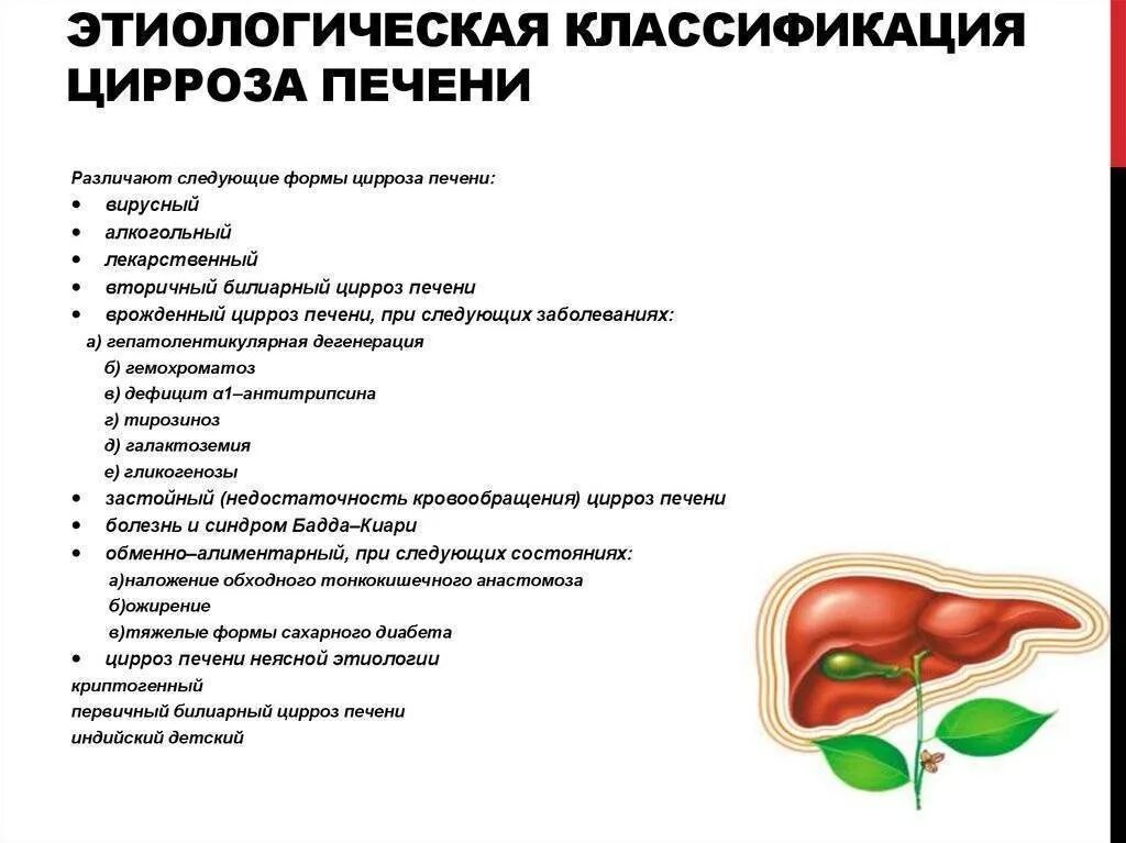 Что происходит при циррозе печени. Билиарный цирроз печени классификация. классификация осложнений цирроза печени. цирроз печени проявления. поражение печени симптомы.