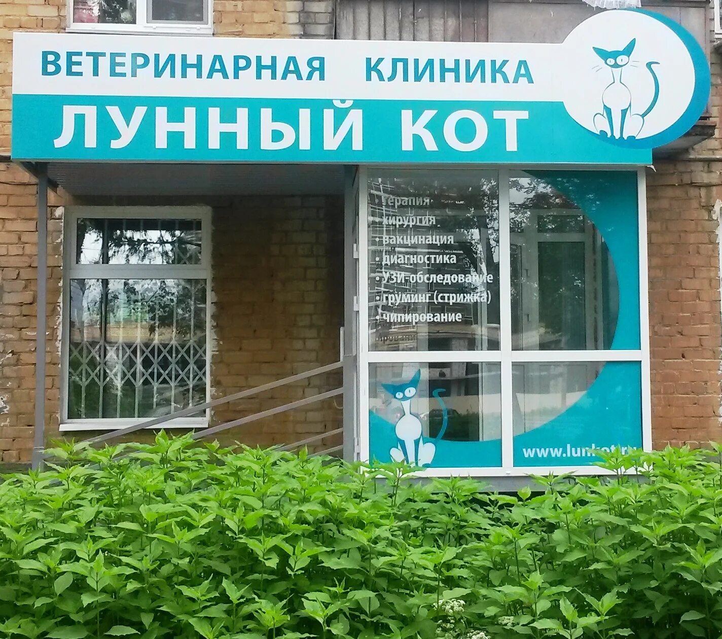 Лунный кот ветеринарная клиника. Лунный кот пермь. Шоссе космонавтов 121. Лунный кот пермь. Ооо центр кот пермь.
