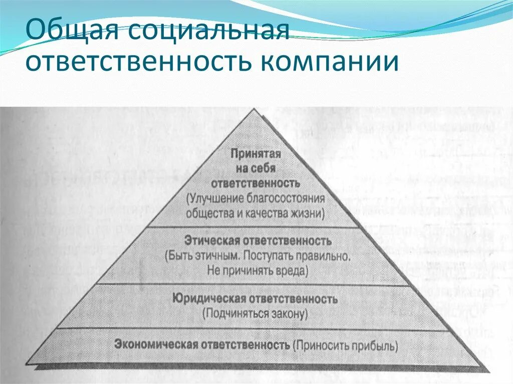 Экономическая ответственность организации. Корпоративная социальная ответственность. Социальная ответственность компании. Уровни социальной ответственности организации. Совокупная социальная ответственность.