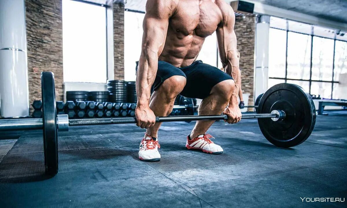 Тренировка ног в тренажерном зале. Топ базовых упражнений в зале. 10 базовых упражнений. Тренировка в зале для мужчин на трицепс. Базовые упражнения в спортзале.