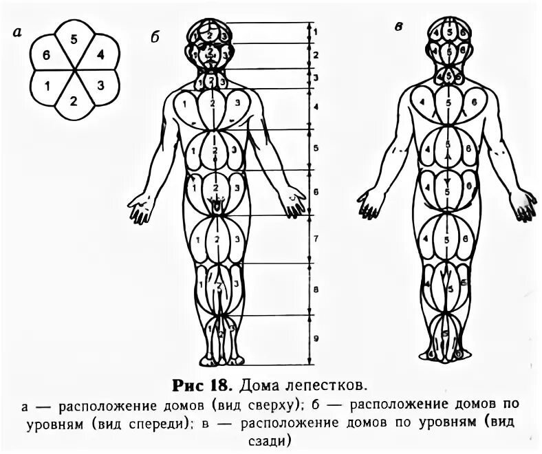 Норбеков октава. Тренировка тела и духа Норбеков. Канон для будущих властелинов. Тренировка тела и духа Норбеков Хван. Канон упражнение.