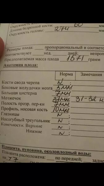 Мозг у плода норма. Мозжечок у плода норма в 20 недель. Большая цистерна плода по неделям таблица норма. Норма большой цистерны у плода по неделям. Мозжечок 20 мм на 20 неделе беременности норма.