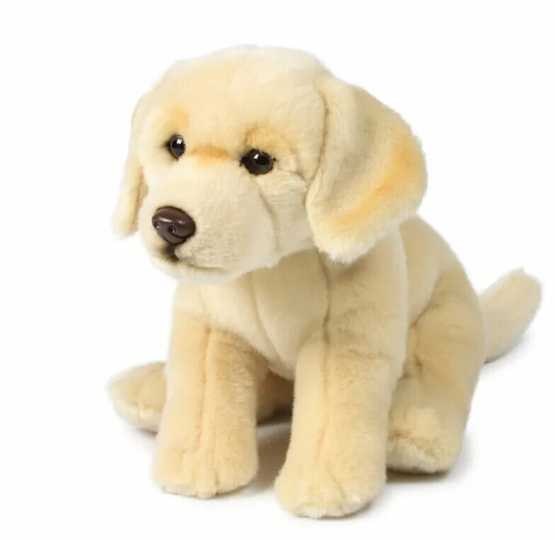 Anna club plush мягкая игрушка. Anna club plush лабрадор. Мягкая игрушка голден ретривер. Ретривер пушистый. Ретривер leosco.