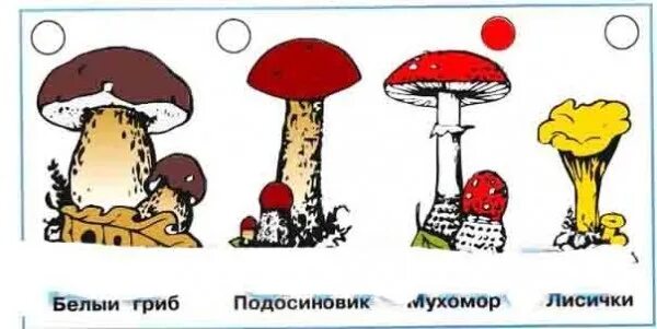 Девочка и задача про грибы. Грибы украшают лес а мы украсим страницу. задание грибы 1 класс. грибы украшают лес а мы украсим страницу тетради для этого. раскрась грибы подпиши их.
