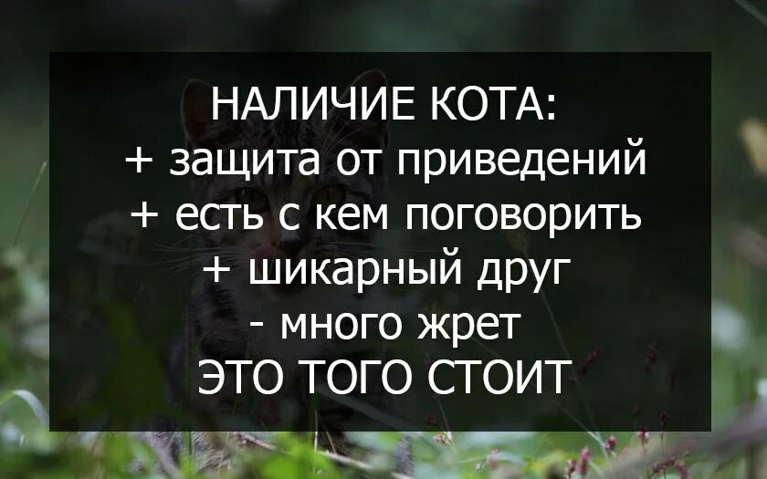 Не с кем поговорить цитаты. Цитаты про поговорить. Друзей много а поговорить нескем. Картинки не с кем поговорить. С кем поговорить когда плохо