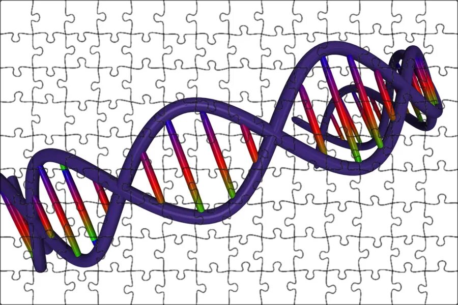 Днк 03.04 2024. ДНК рисунок. Пазл ДНК. ДНК рисунок на прозрачном фоне. Виды ДНК.