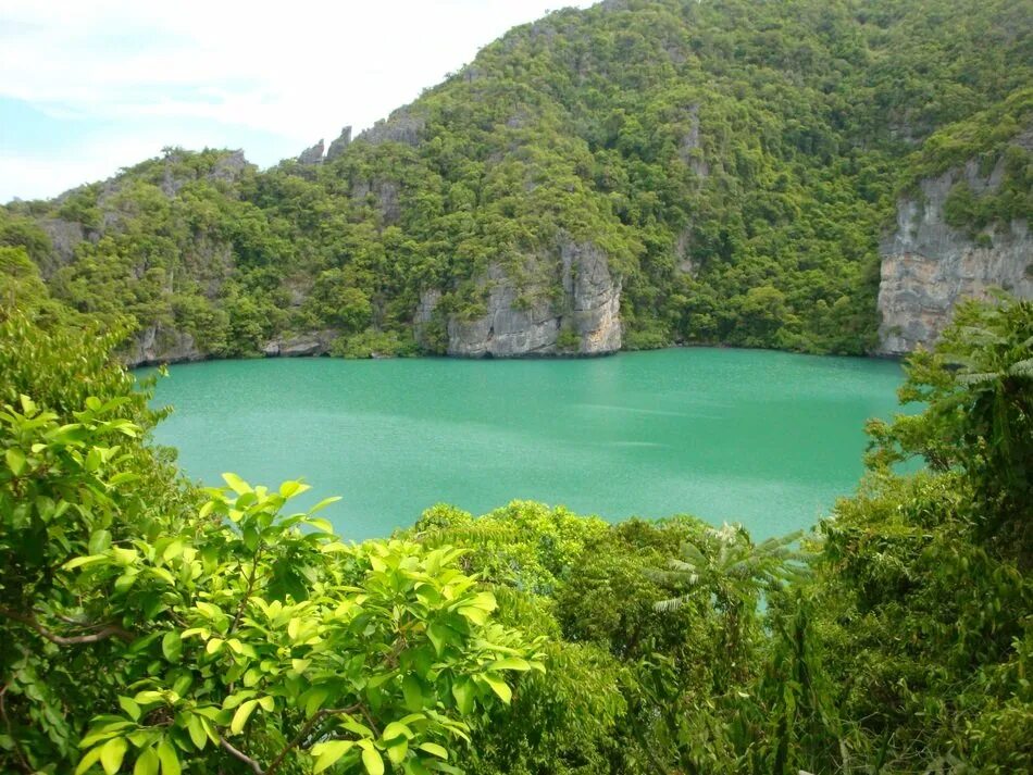 Ojo de liebre lagoon