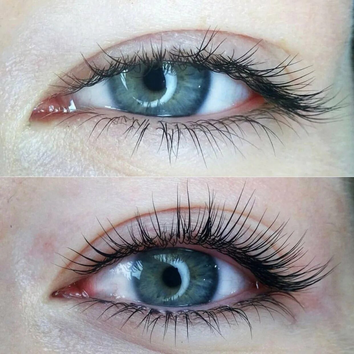 Ламинирующая тушь. Тушь-уход для ресниц и бровей "si lashes mascara nourish gel", 10 мл. Гель для ресниц. Тушь si lashes mascara nourish gel состав. Mascara lamination.