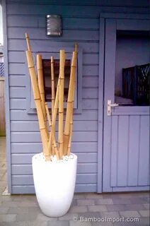 Бамбуковые изделия