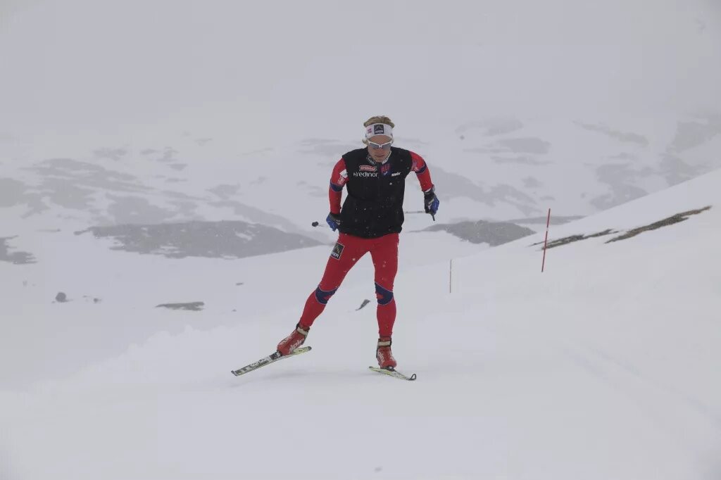 Коньковый ход без отталкивания палками техника. Одновременный 2 шажный коньковый ход. Коньковый без палок. Коньковый ход без отталкивания руками с махами и без махов руками. Коньковый ход на лыжах без палок.