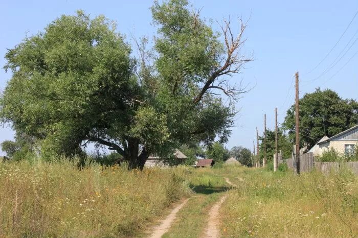 Выселок северный. Пошаты Мордовия. Новоусадские Выселки Ельниковский район. Старые русские Пошаты Мордовия. Мордовия мордовские Пошаты.