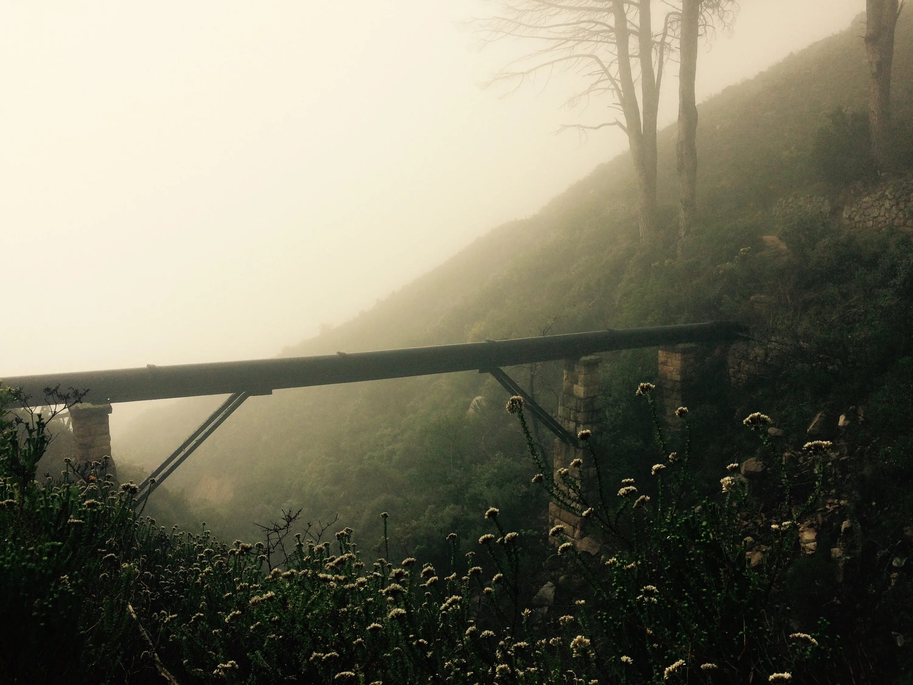 Мост в тумане. Подвесной мост в тумане. Туман солнце мост. Мгла природа.