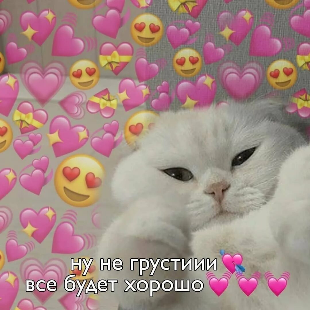Солнышко не мило