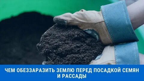 Можно ли пролить землю