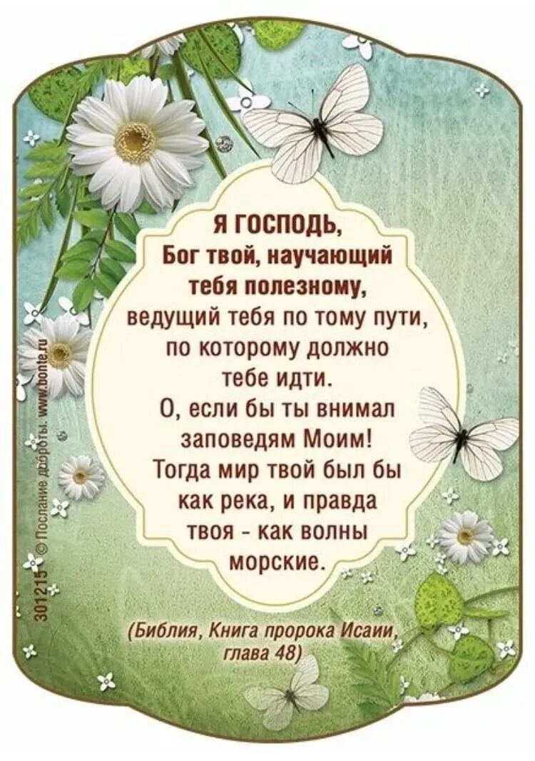 Текст песни спасибо господь что я. Христианские открытки о молитве. Стихи о Господе. Христианские тексты из Библии. Библейские стихи для детей.