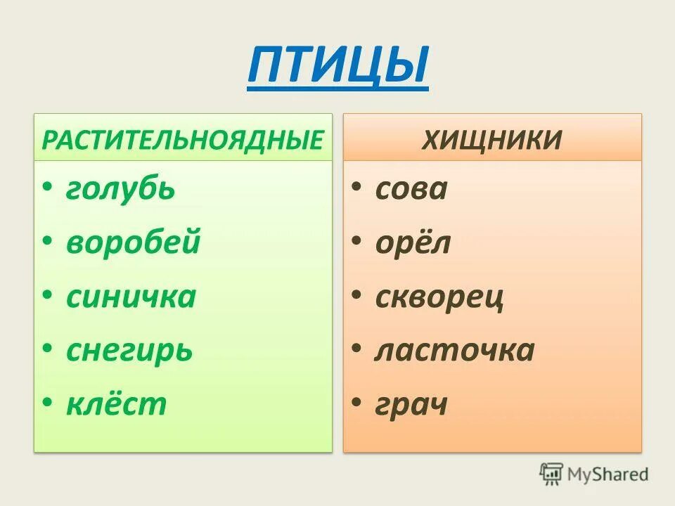 Растительноядные птицы особенности строения. Птицы зерноядные названия. Растительноядные птицы особенности строения. Растительноядные птицы особенности строения. Птицы высшие позвоночные животные приспособленные к полету проект.