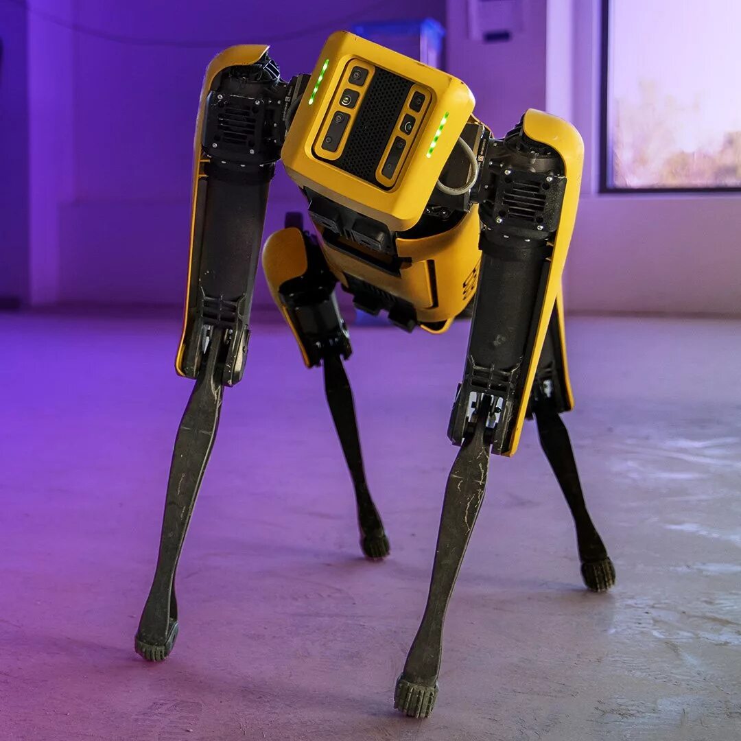 Boston dynamics роботы. Робот бостон динамикс. бостон дайнемикс робот спот. робот из бостон динамикс. boston dynamics spot mini.