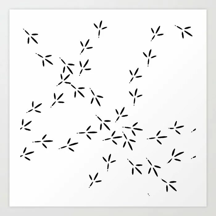 Следы голубей. Птичьи следы. следы голубя. следы птицы паттерн. птичьи следы вектор.