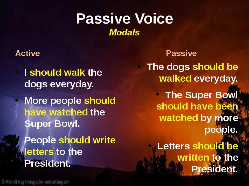 Should в passive voice