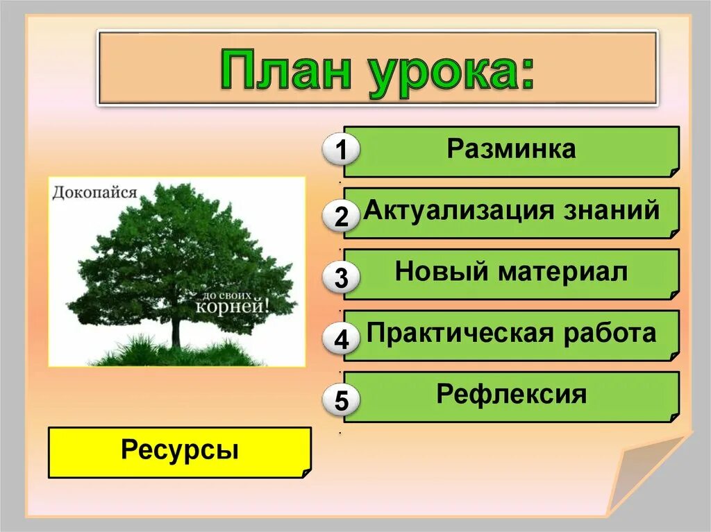Деревья 3 класса