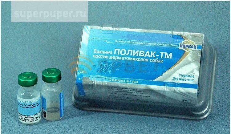 Мультифел 6 вакцина для кошек. Nobivac tricat trio производитель. Живые вакцины для кошек. Нобивак трикет. Вакцина мультифел для собак.