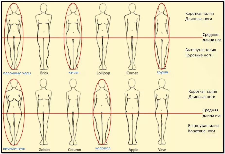 Ширину фигуры. Типы строения ног. Формы женских бедер. Типы строения женских ног. Типы строения ног у женщин.