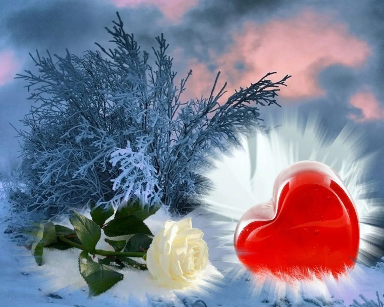 Всему новому и прекрасному и. Зимние цветы. Добра и любви зимой. Зимнее сердце. Прекрасного зимнего дня.