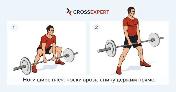 Становая сумо какие мышцы. Становая тяга сумо техника. тяга сумо со штангой техника. тяга сумо техника выполнения. становая тяга сумо со штангой техника выполнения.