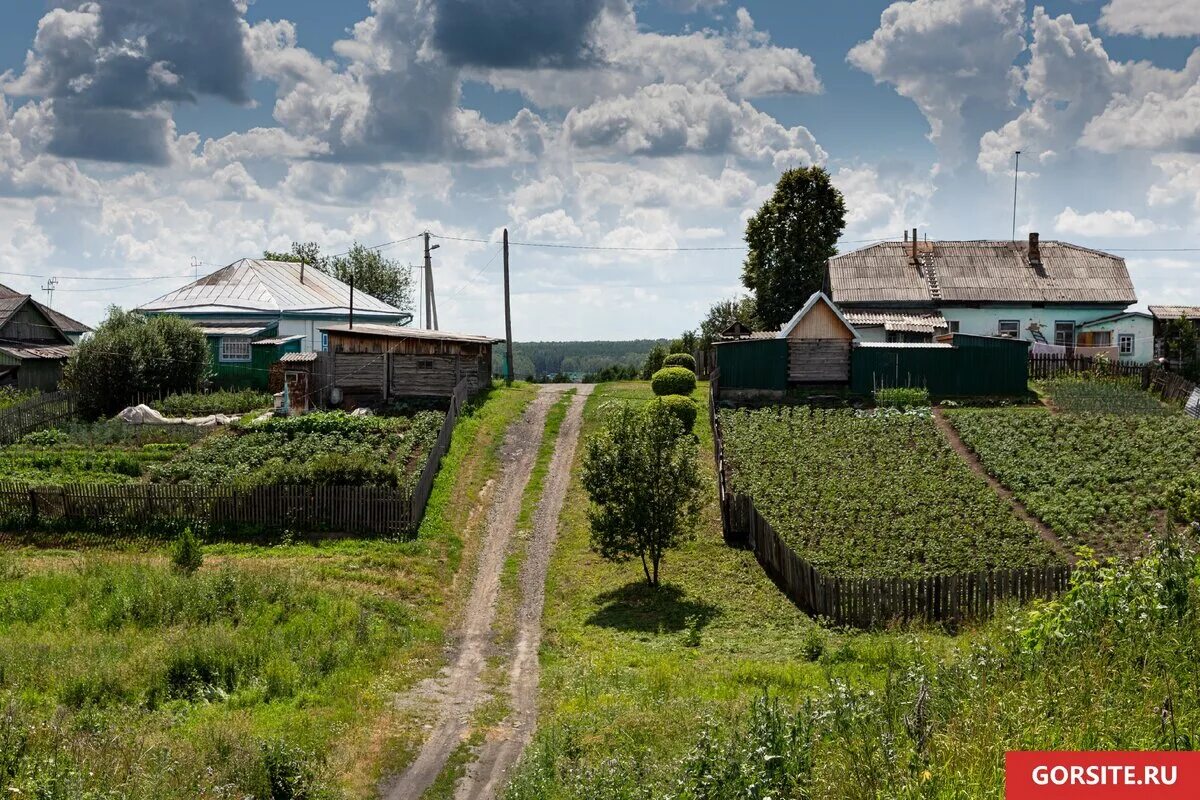 Деревня березовка новосибирской области. Сосновка искитимский район новосибирск. Село березово маслянинский район новосибирская область. Березовка новосибирская область. Деревня новый шарап новосибирская область.
