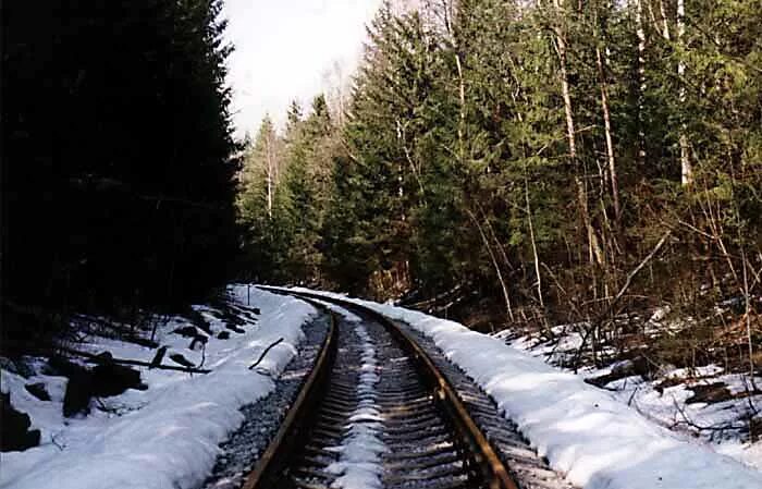 Платформа Лукино. Станция Лукино Вологодская область. Новое Лукино Архангельская область. Платформа Лукино Нижегородская область. Несмотря на обледенение дороги впр