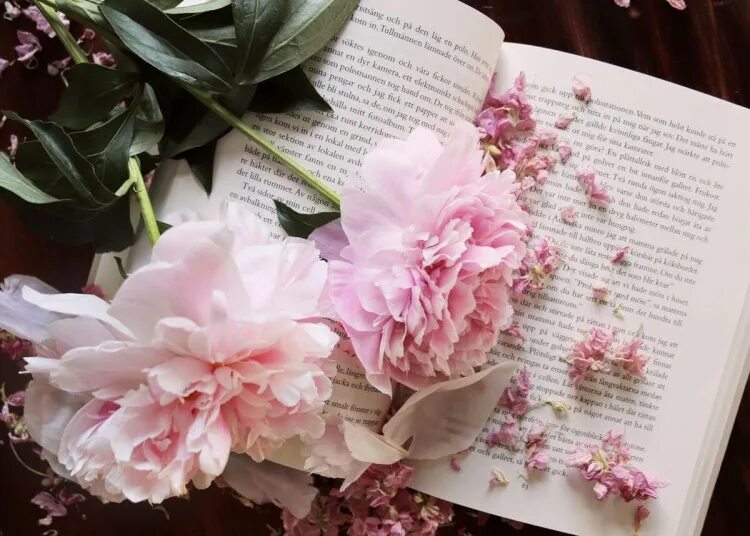 Пионы и книга. Книга цветы. Букет цветов в винтажном стиле. Пионы и книга. Пионы и книга.